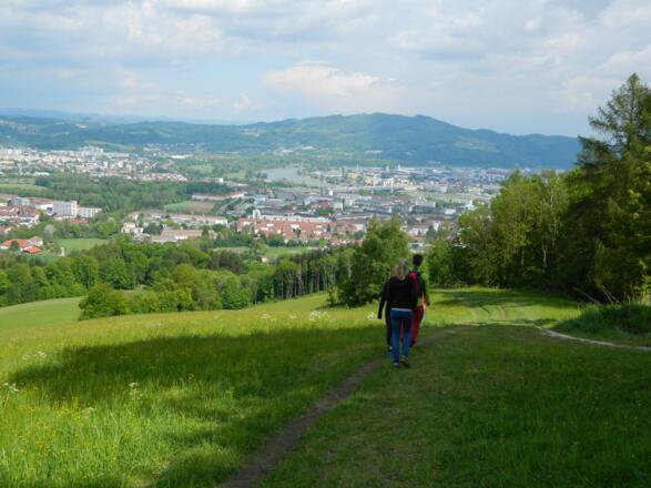 Abstieg über die Moarwiesen