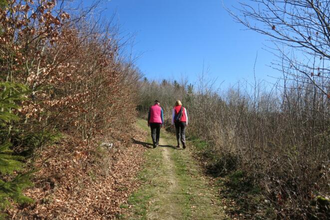 Oberhalb der Donau zum Eingang der Stillensteinklamm