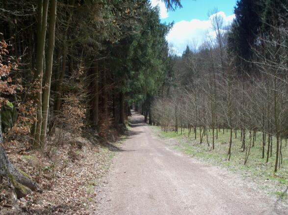 Nach dem Oberburger