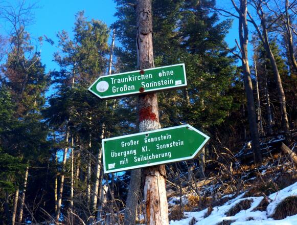 Abzweigtafel zum Brenntenkogel ~930m