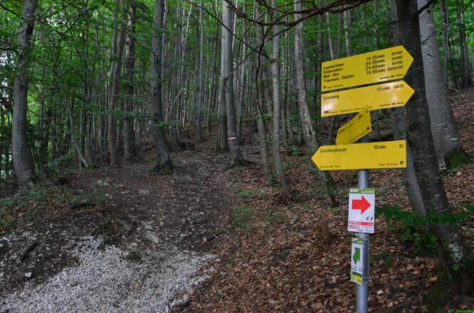 Wegkreuzung im oberen Bereich