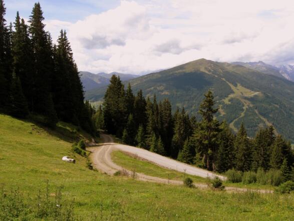 Unterhalb der Spörralm wurde eine neue Forststraße geschaffen, die in der AV Karte noch nicht eingezeichnet ist. Hier rechts hinunter fahren