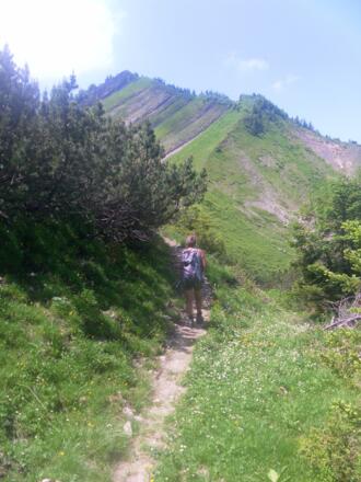 Guntenkopf Ostrücken