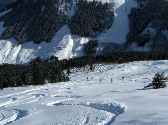 Pulvertraum im Bereich oberhalb des Waldgürtels.