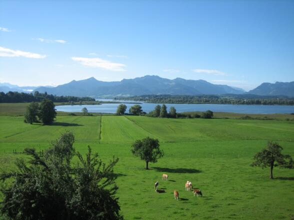 Terrassenblick Schafwaschener Bucht