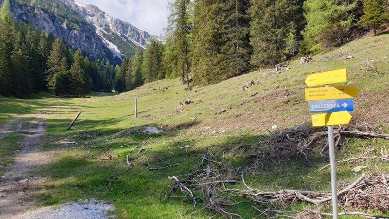 Hier verlassen wir die Forststraße und gehen weiter taleinwärts