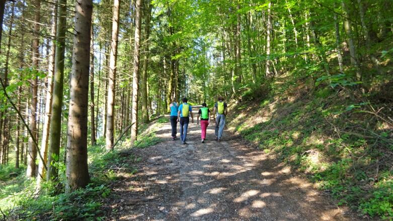 Zuerst noch ein breiter Forstweg ...