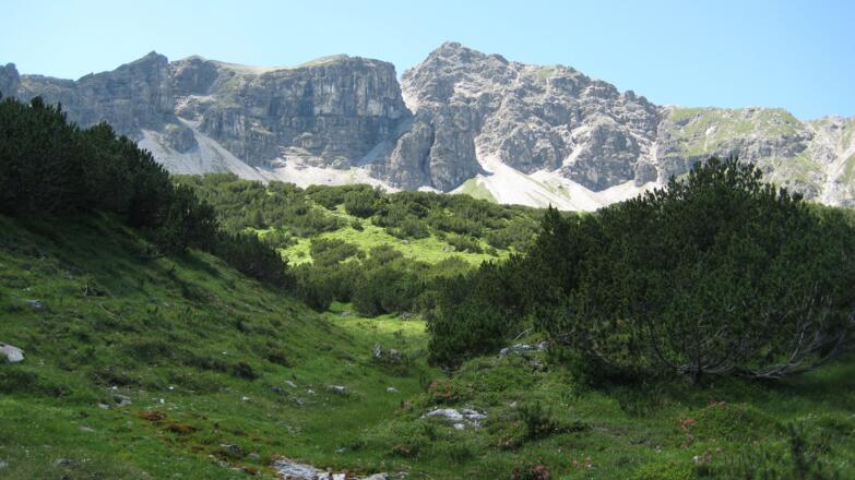 Blick auf die LAILACHSPITZE - von Osten