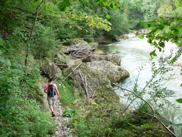 ... dann direkt an der Krummen Steyrling