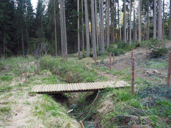 Gute stabile Brücken führen über die Bächlein.