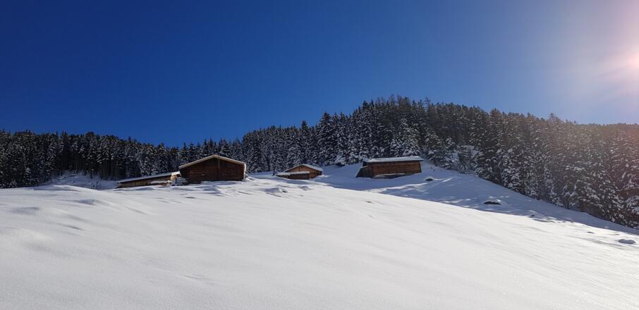 Über Wiesen hinauf zur Vorbergalm