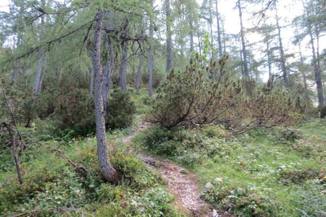 Jägersteig