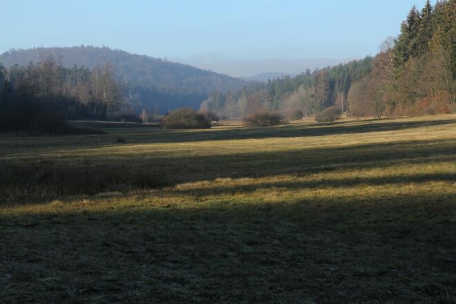 Weihersgrund