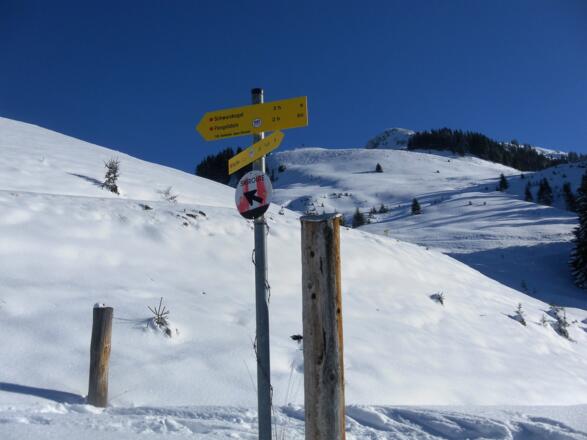 Almkreuz der Kleinmoosalm, dahinter der Schwarzkogel