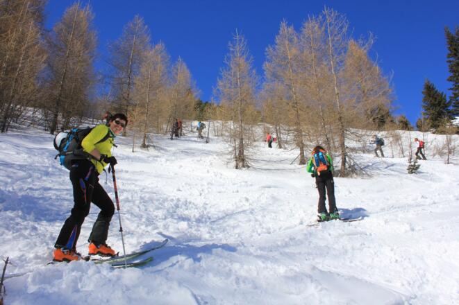 bei ca. 1800 mdurch lichten Lärchenwald