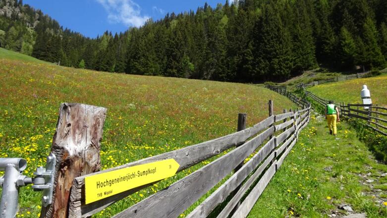 ... Hochgeneinerjöchl. und Sumpfkopf.