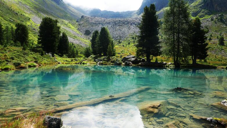 Am Bergli See