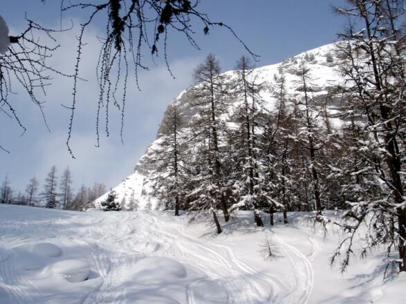 Kühfeld von Osten, kurz vor der Albl-Jagdhütte um 1680m.
