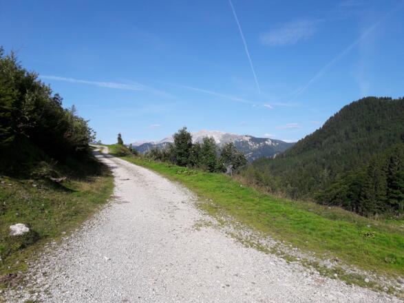 Blick von der Forststraße kurz vorm Rohrauerhaus auf das Warscheneck im Norden