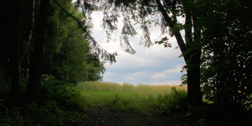 Weg ins Licht