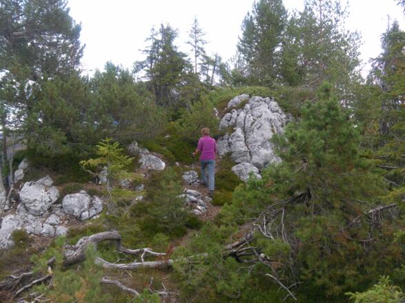 unmarkierter Pfad zum Hauptgipfel