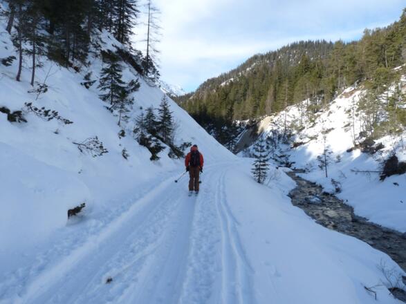 Über die Forststraße geht es zuletzt nach Gießenbach.