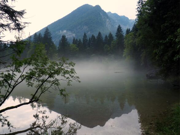 Koppenwinkelsee um 520m