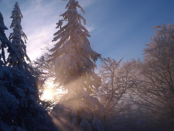 Nebelgrenze um 1000m erreicht