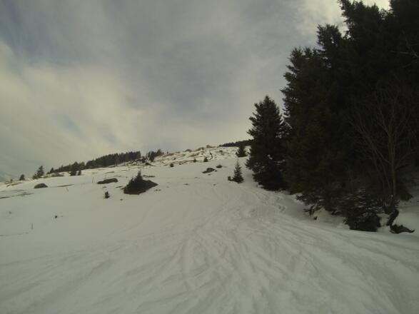 Die Lichtung unterhalb der Poversalm.