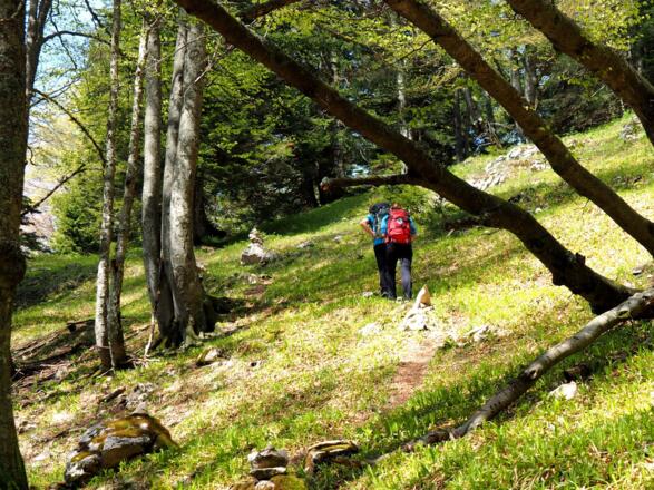 Jagdsteig mit Steinmandl um 1340m