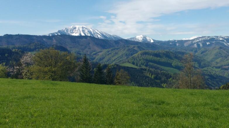 Blick zum Ötscher