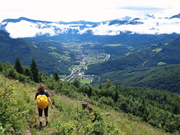 Kahlschlag ~1150m