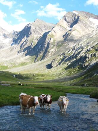 ein wohltuhendes Fußbad