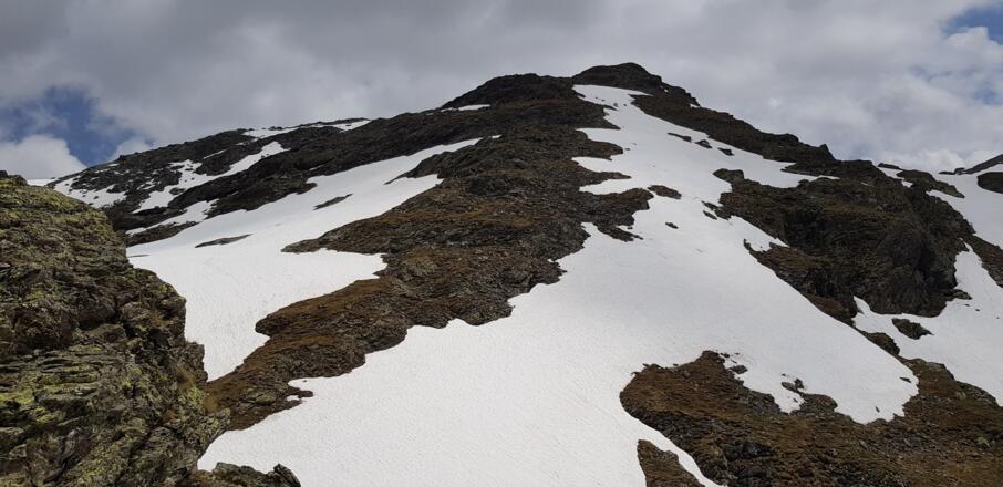Der Weg ist gut markiert