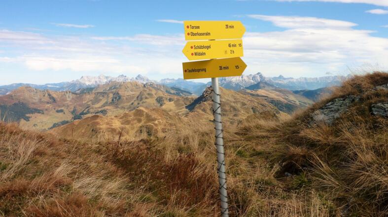 Blick in die Berchtesgadener Alpen