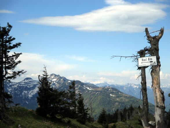Abzweig Hiasl-Alm ~1440m