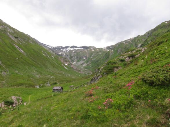 Richtung Murursprung (05.07.2016)