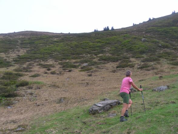 Mulde zum Gerenfalben
