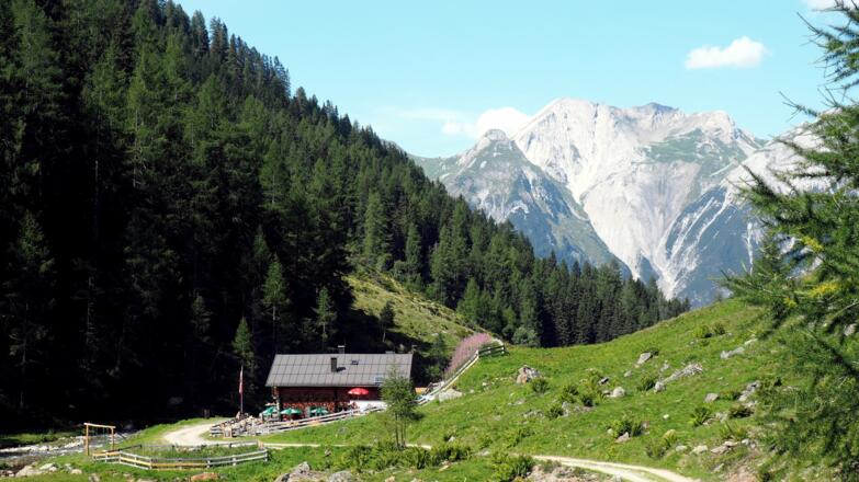 Vord. Malfonalpe 1687m (Abfahrt).