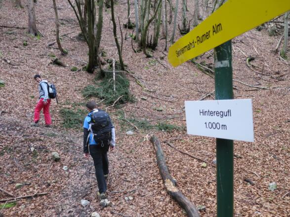 Der Sennermahdsteig führt in sehr direkter Linie ...