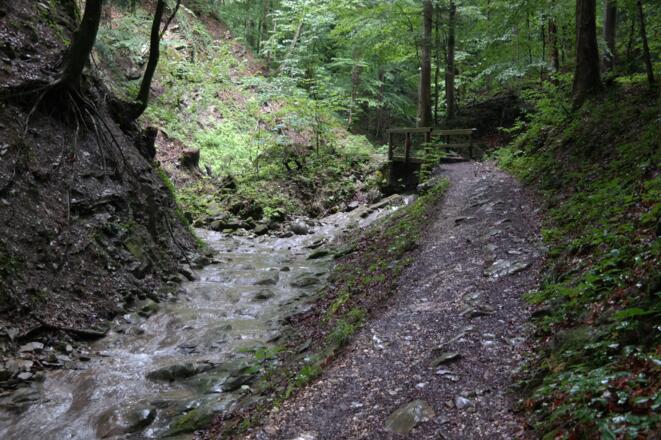Im wildromantischen Graben des Stücklbachs.