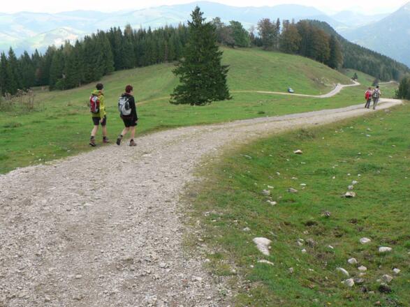Von der Anton-Schosser-Hütte am Sommerweg hinunter zum Lugstadl