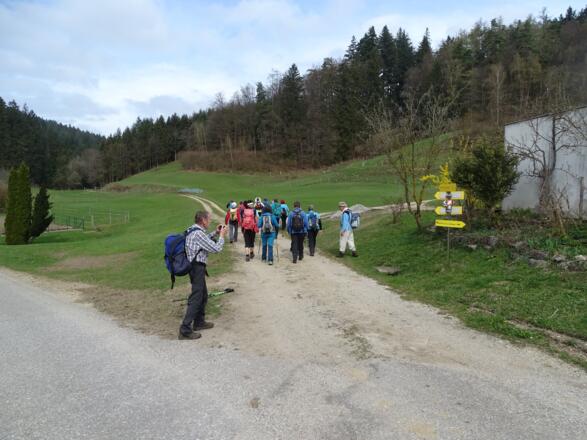 Abzweigung Forstweg zur Ruine Klingenberg nach dem Gehöft Großmaseldorf Nr. 1