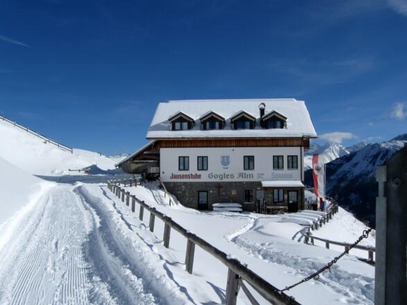 Der Rückweg führt über die Forststraße.