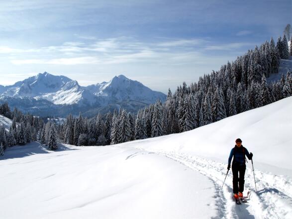 Kreuzau 1062m, Blick nach Süden