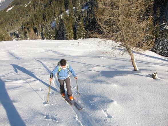 Lichtungen, mal breit ...