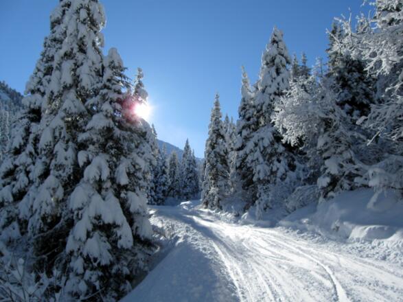 Herrliche Winterlandschaft im Aufstieg.