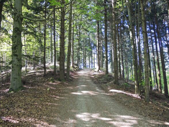 Die letzten Schritte zum Göblberg.