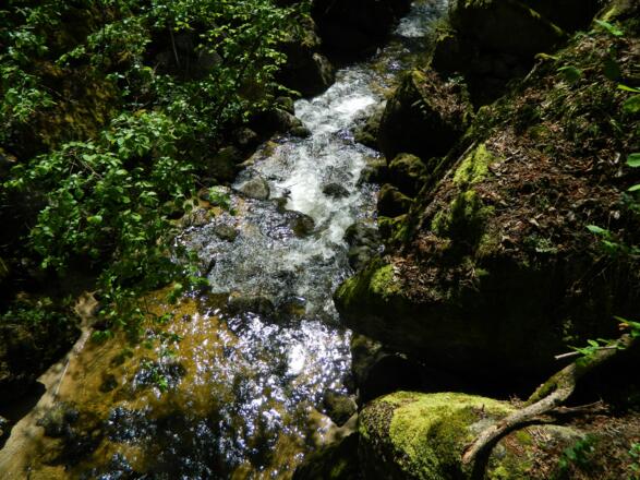 Falkensteinkatarakt bei Niederwasser