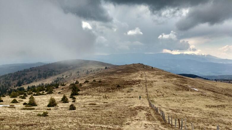 Auf der Hirschegger Alm
